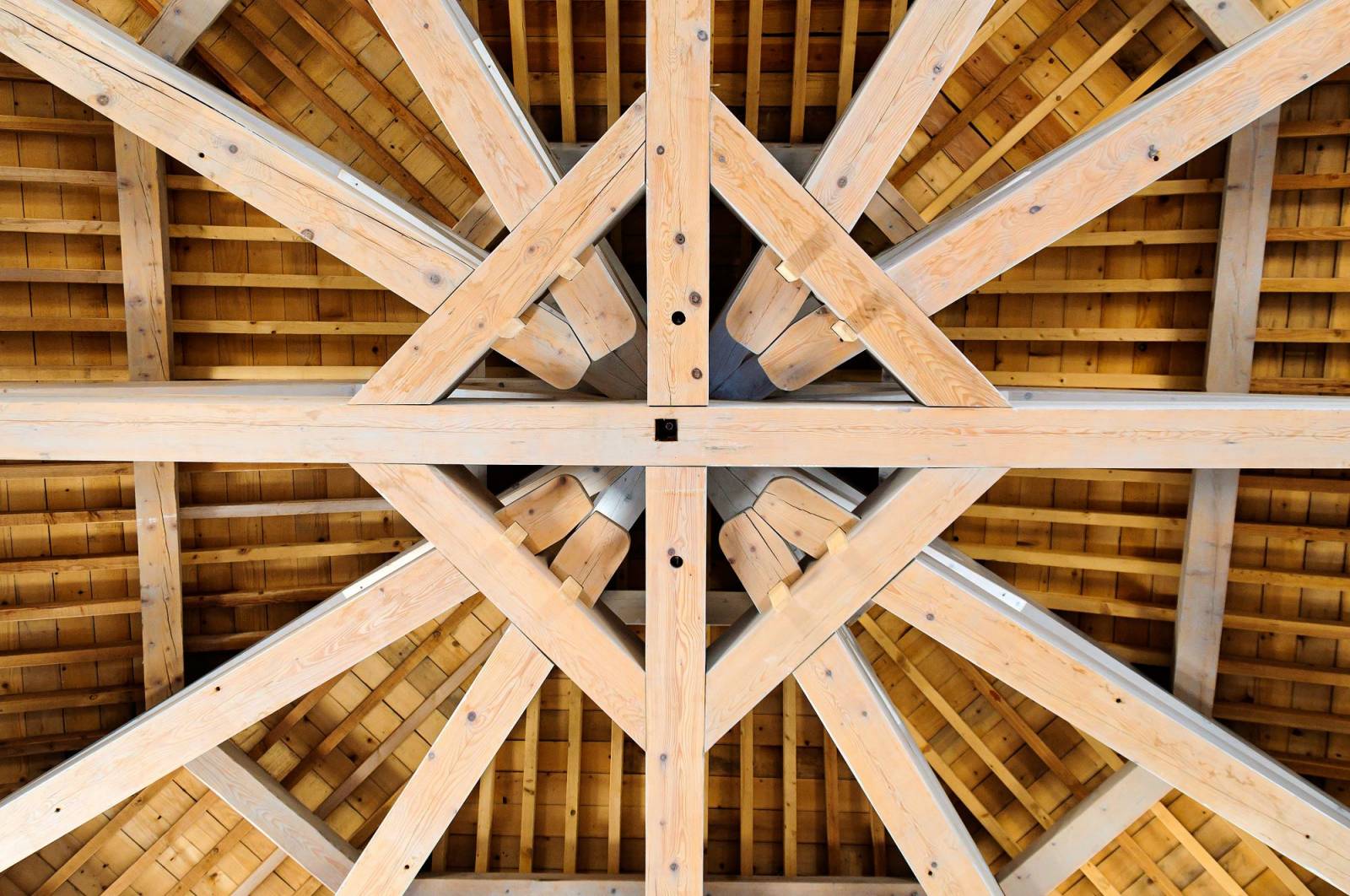 Experts en traitements parasitaires des bois et des toitures en Nouvelle Aquitaine