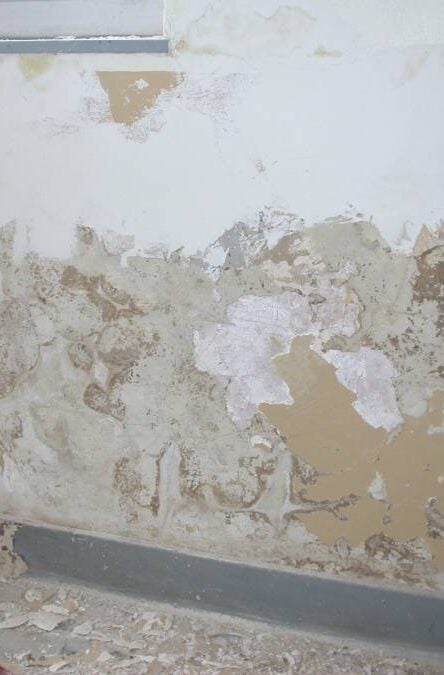 Mur avec peinture écaillée et dégâts d'humidité.