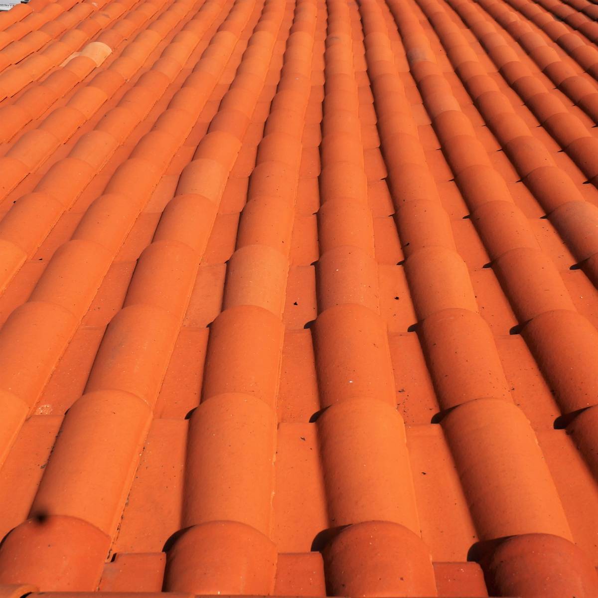 Toit en tuiles orangées