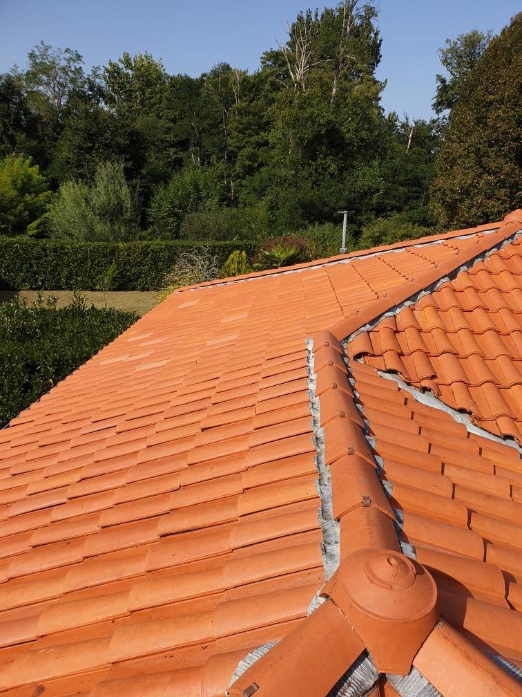 Toit en tuiles rouges et arbres verts